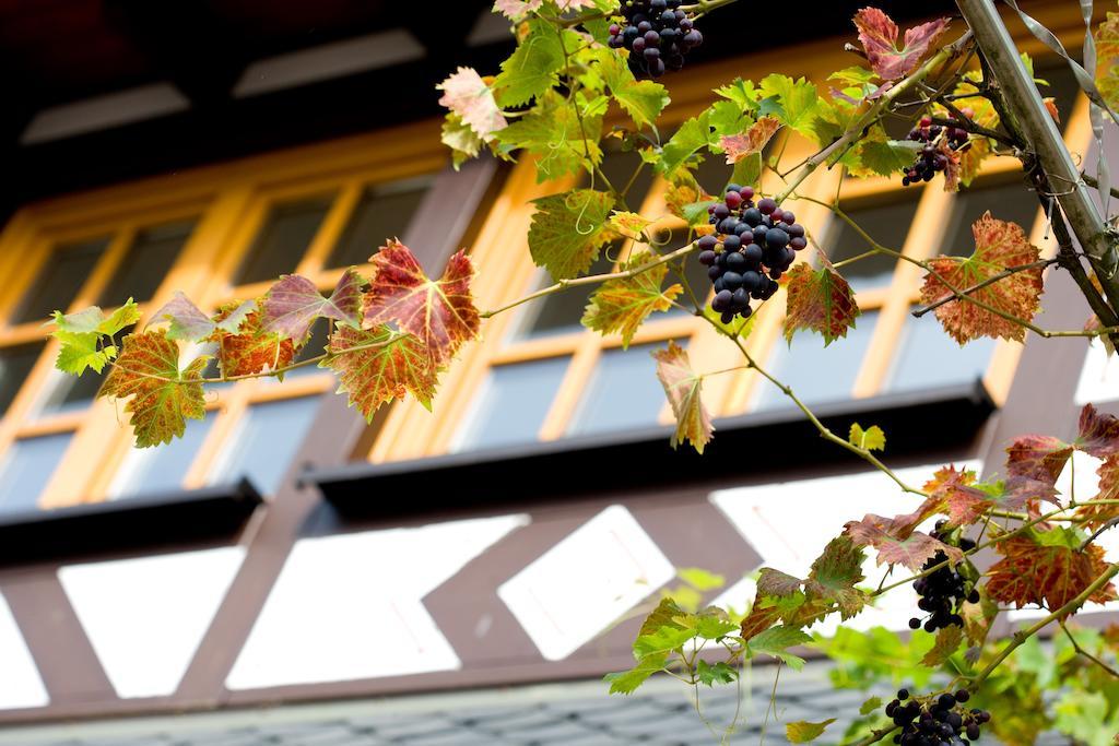 Landgasthof Rebstock Sankt Goar Exterior foto